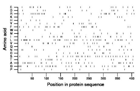 amino acid map