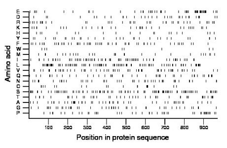 amino acid map