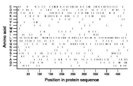 amino acid map