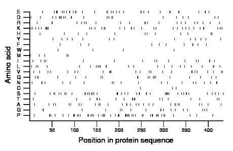 amino acid map