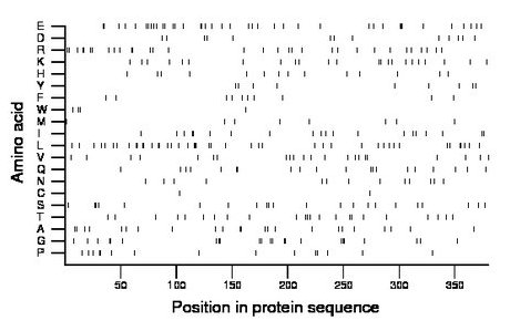 amino acid map