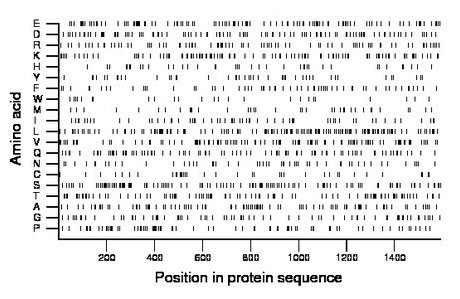 amino acid map