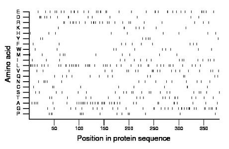 amino acid map