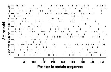 amino acid map