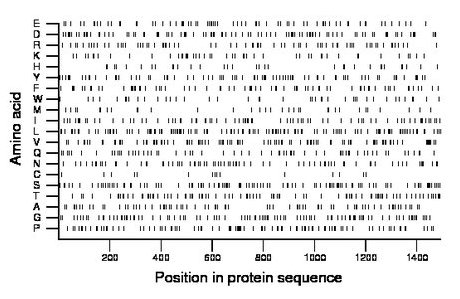 amino acid map