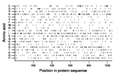 amino acid map