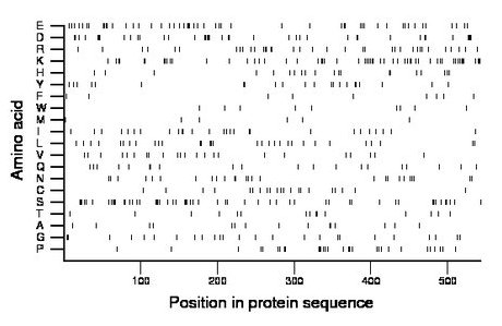amino acid map