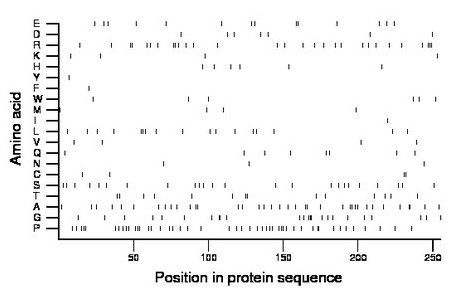 amino acid map