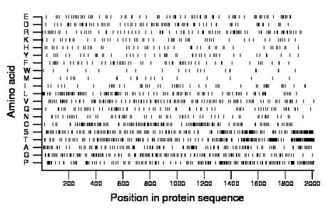amino acid map