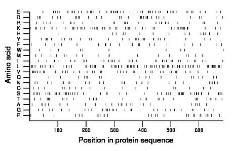 amino acid map