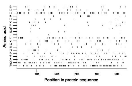 amino acid map