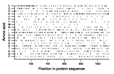 amino acid map