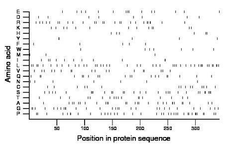 amino acid map