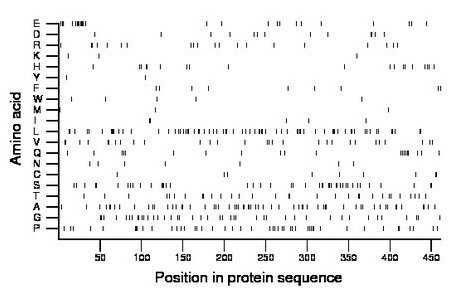 amino acid map