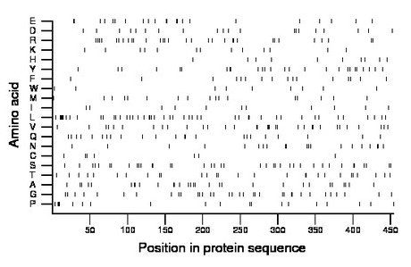 amino acid map