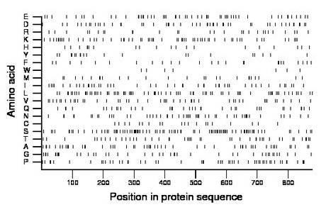amino acid map