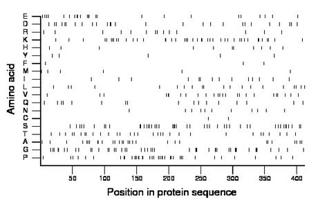 amino acid map