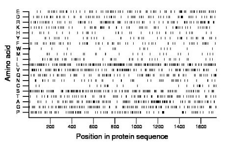 amino acid map