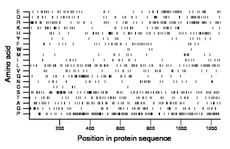 amino acid map