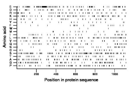 amino acid map