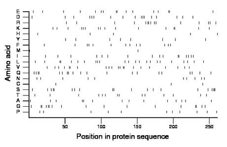 amino acid map